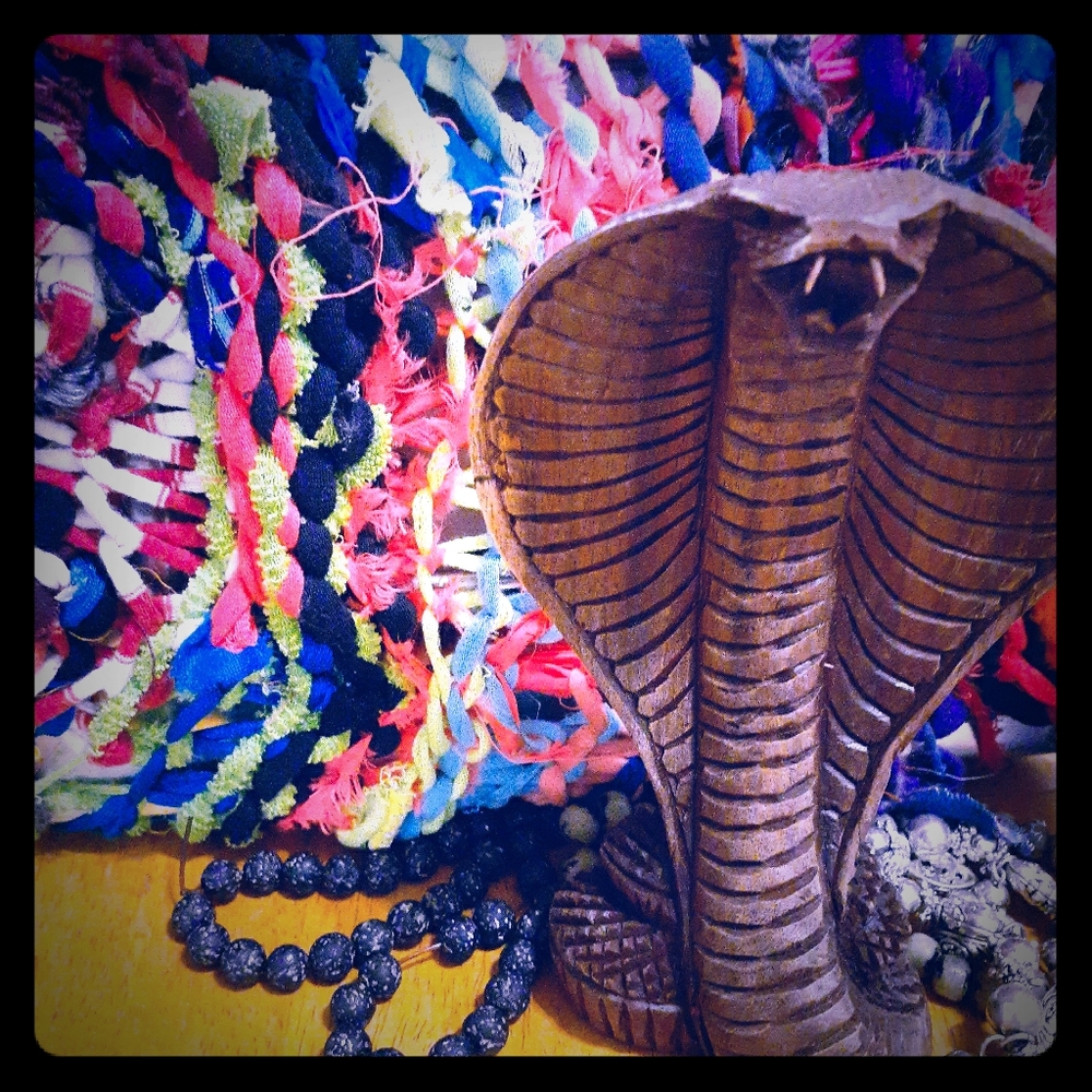 extremely detailed hissing cobra!! (so bada$$)